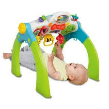 WINFUN PLAYGYM
